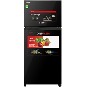 Tủ lạnh Toshiba Inverter 608 lít GR-AG66VA (XK)